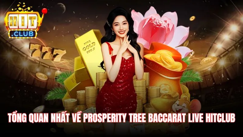 Tong quan nhat ve Prosperity Tree Baccarat Live Hitclub Tổng quan nhất về Prosperity Tree Baccarat Live Hitclub