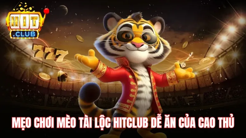 meo choi meo tai loc hitclub Mẹo chơi Mèo Tài Lộc Hitclub dễ ăn của cao thủ